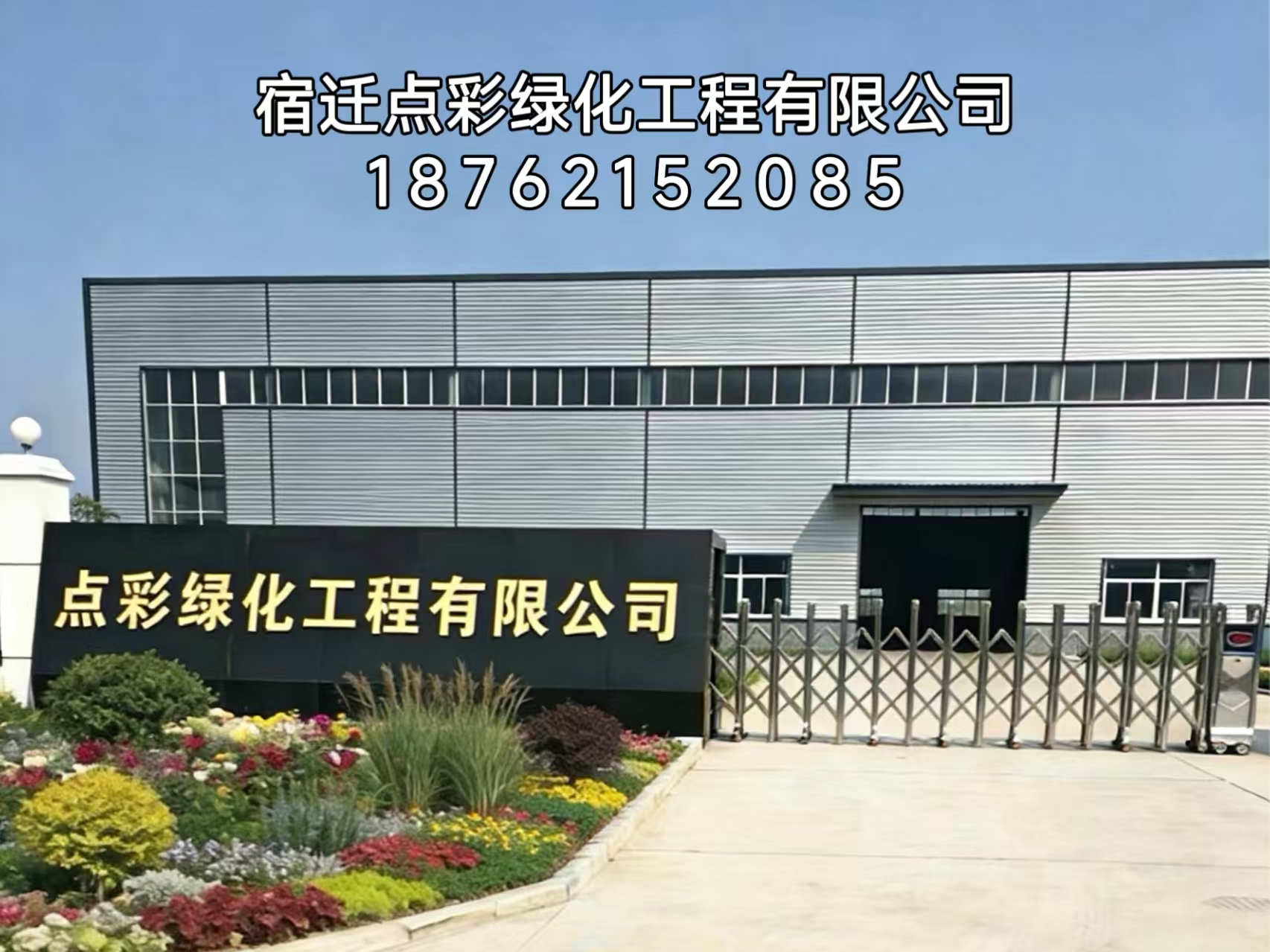 适地适种理念落地，绿化种苗采购转向品种适配优先