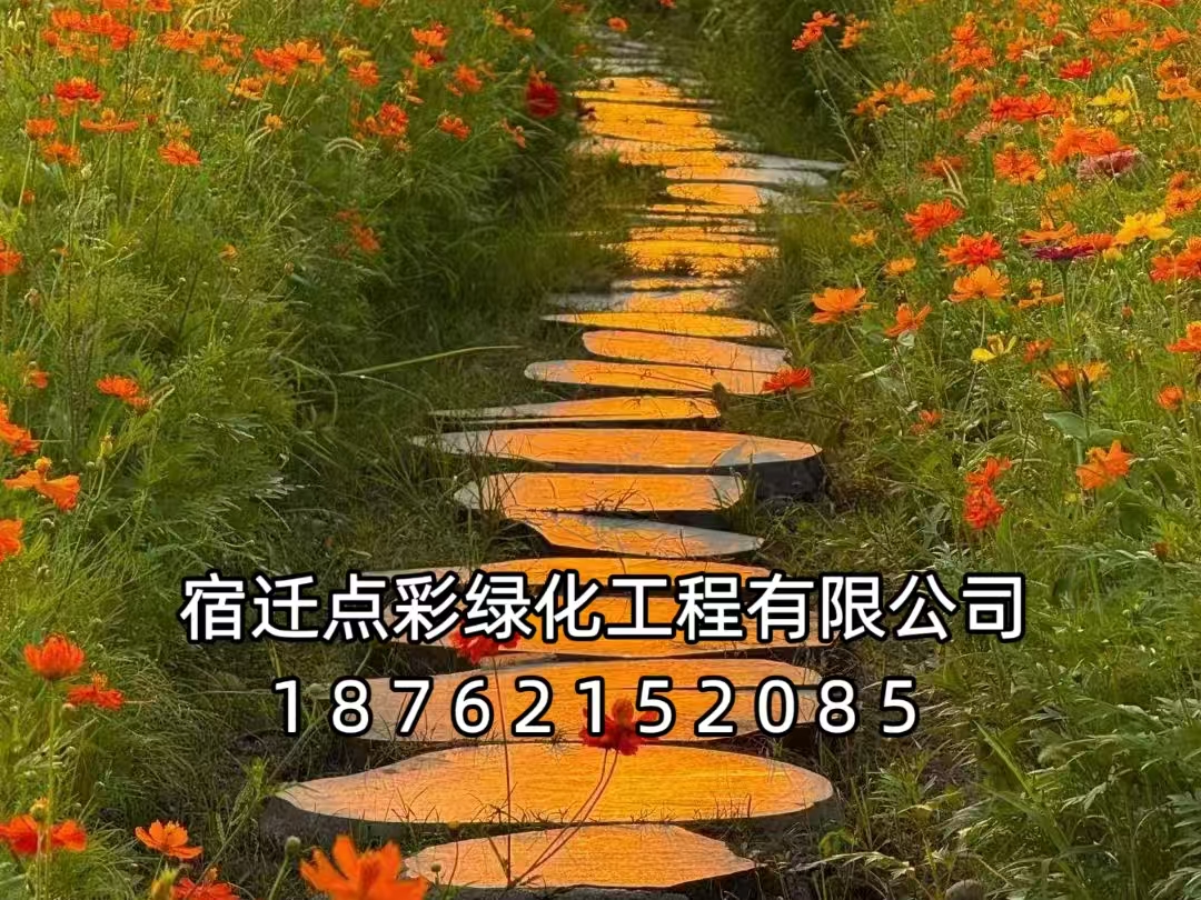 【宿迁市泗洪县】美丽乡村网红花海项目